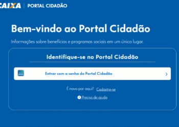 "Imagem do Portal Cidadão, destacando a facilidade de acesso a informações sobre programas sociais e benefícios."
