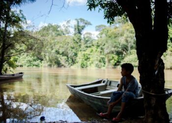 Menino ribeirinho sentado em canoa às margens do rio na floresta amazônica